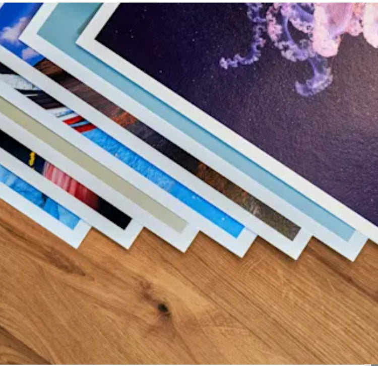 Collection Posters